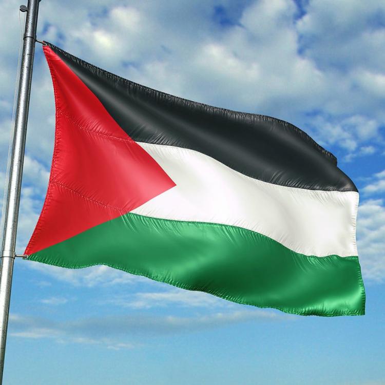 External Decoration |   Indoor Outdoor Banner 5×3 FT Palestine National Flag Party Festival Parade Decor Exterior Accessories External Decoration