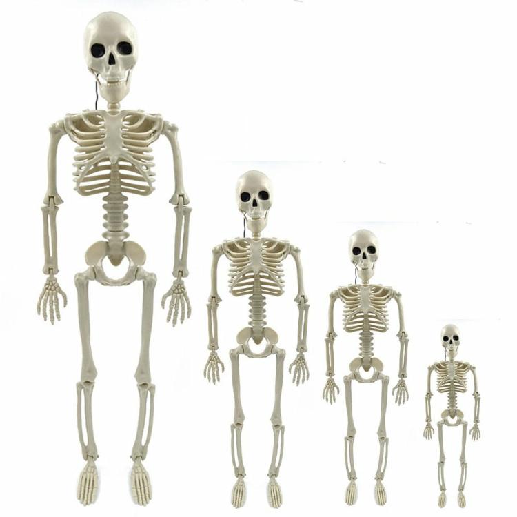 Interior Decoration |   Halloween Body Anatomy Model Full Size Skeleton Hand Bone Home Party Decorations Interior Accessories Interior Decoration