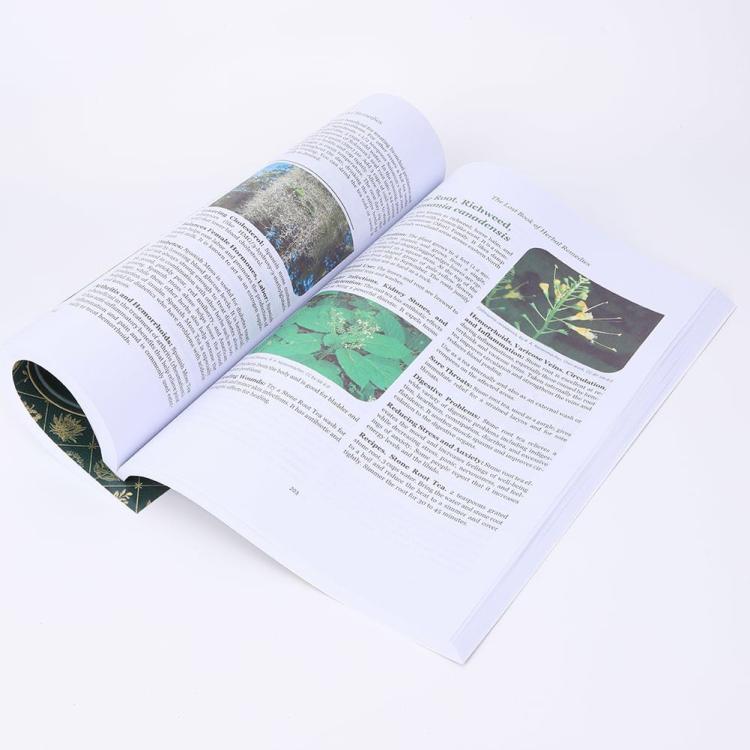 Interior Decoration |   The Lost Book Of Herbal Remedies 800 Herbs & Remedies Nicole Apelian Ideal Gifts Interior Accessories Interior Decoration