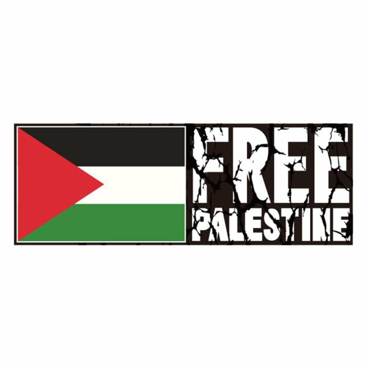 Other Accessories |   Palestine Flag Car Stickers PVC Palestine Flag Anti-UV Decal for Motorcycle Auto Exterior Accessories Other Accessories