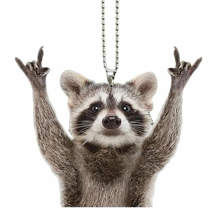 Interior Decoration |   Raccoon Bear Key Pendant Acrylic Cartoon Animal Keychain Jewelry Accessory Gifts Interior Accessories Interior Decoration